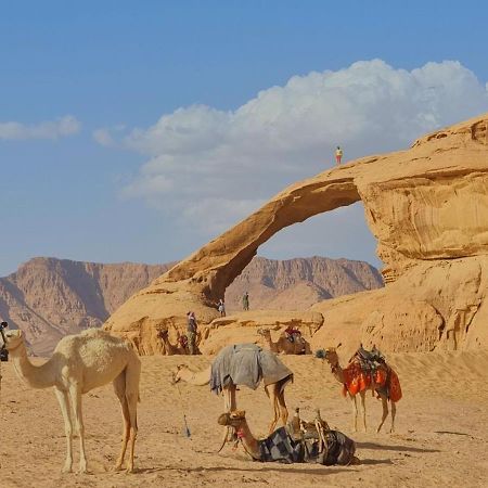 Wadi Rum Desert Camp Ngoại thất bức ảnh