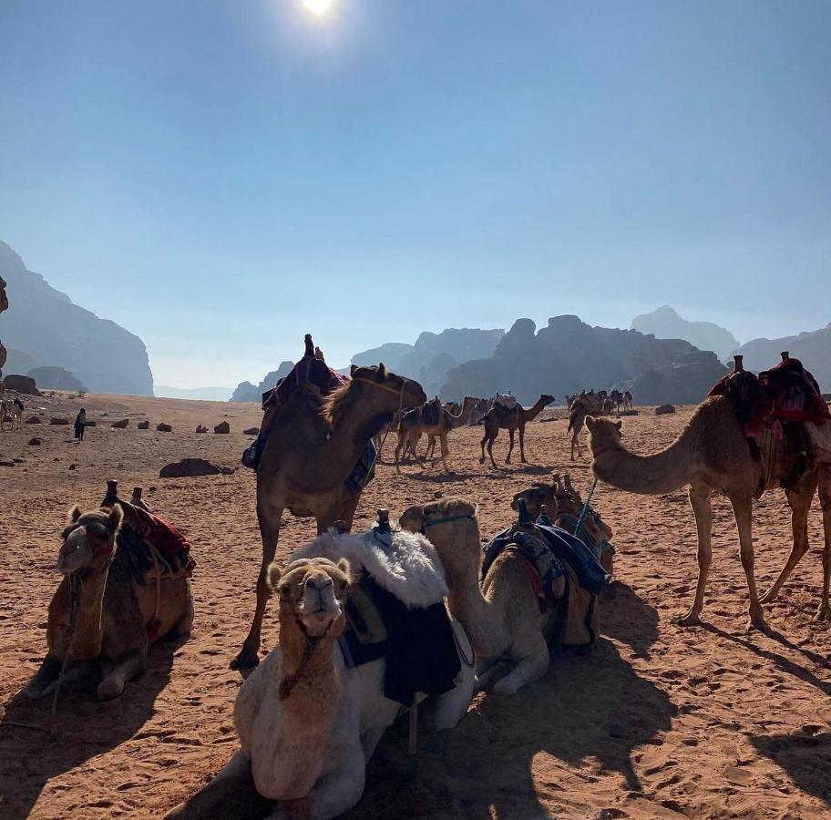Wadi Rum Desert Camp Ngoại thất bức ảnh