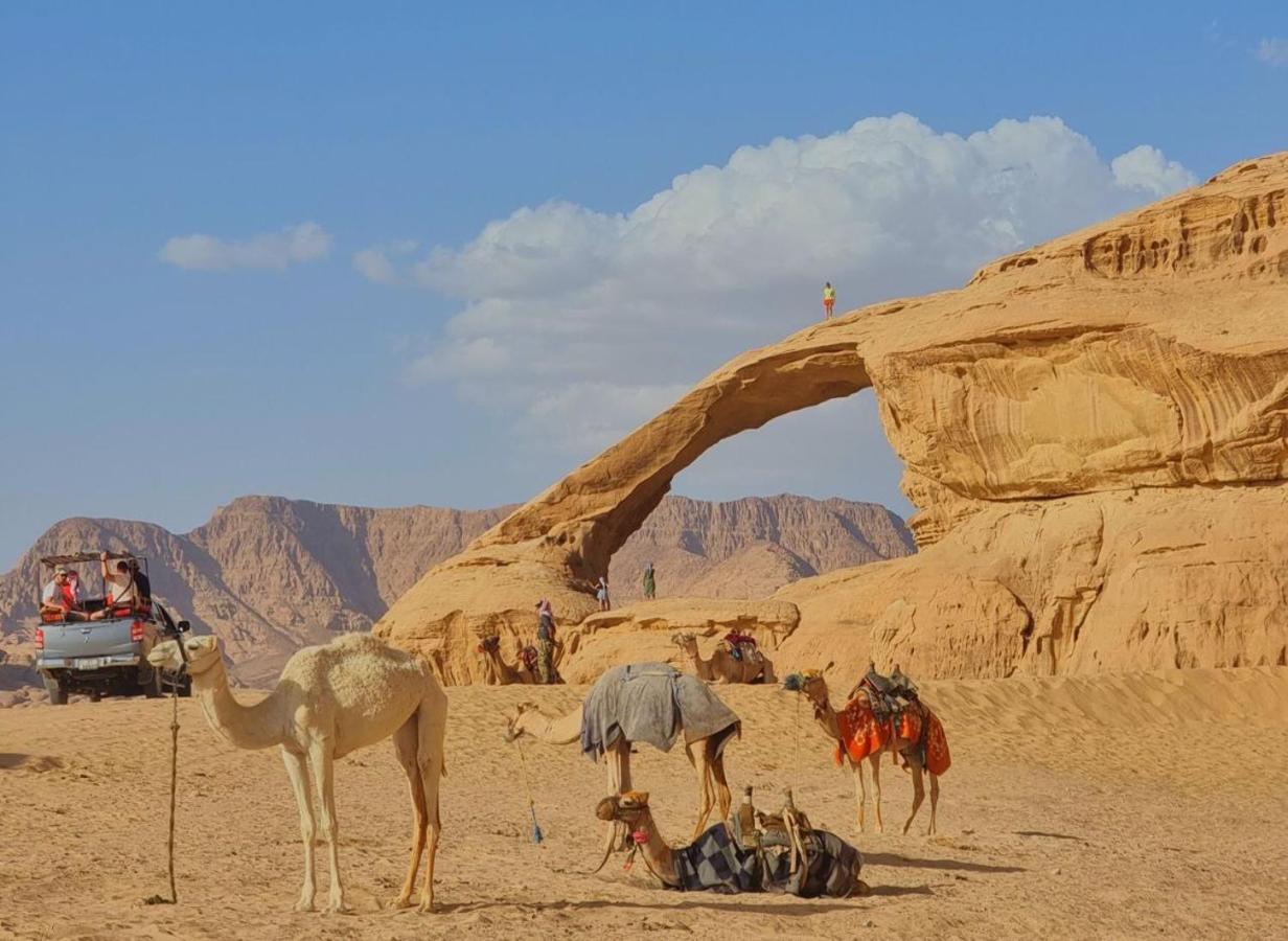 Wadi Rum Desert Camp Ngoại thất bức ảnh