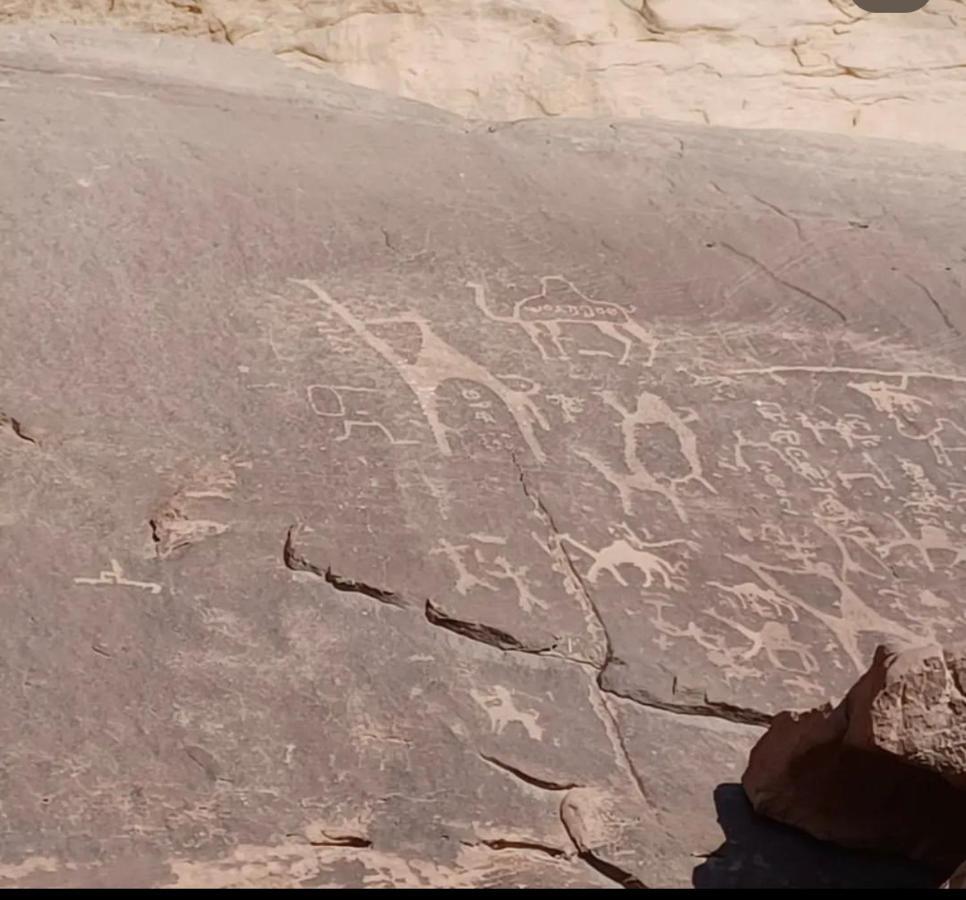 Wadi Rum Desert Camp Ngoại thất bức ảnh