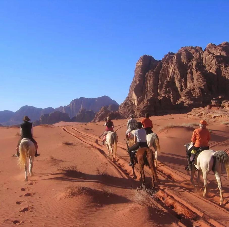 Wadi Rum Desert Camp Ngoại thất bức ảnh