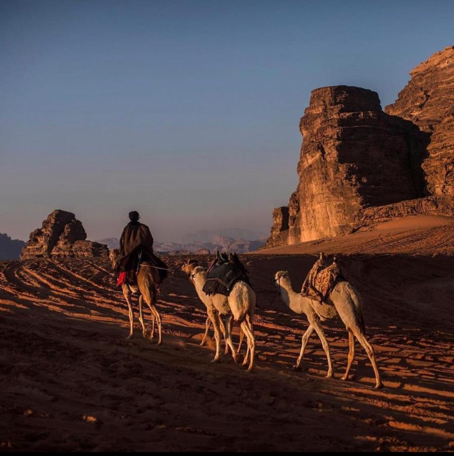 Wadi Rum Desert Camp Ngoại thất bức ảnh