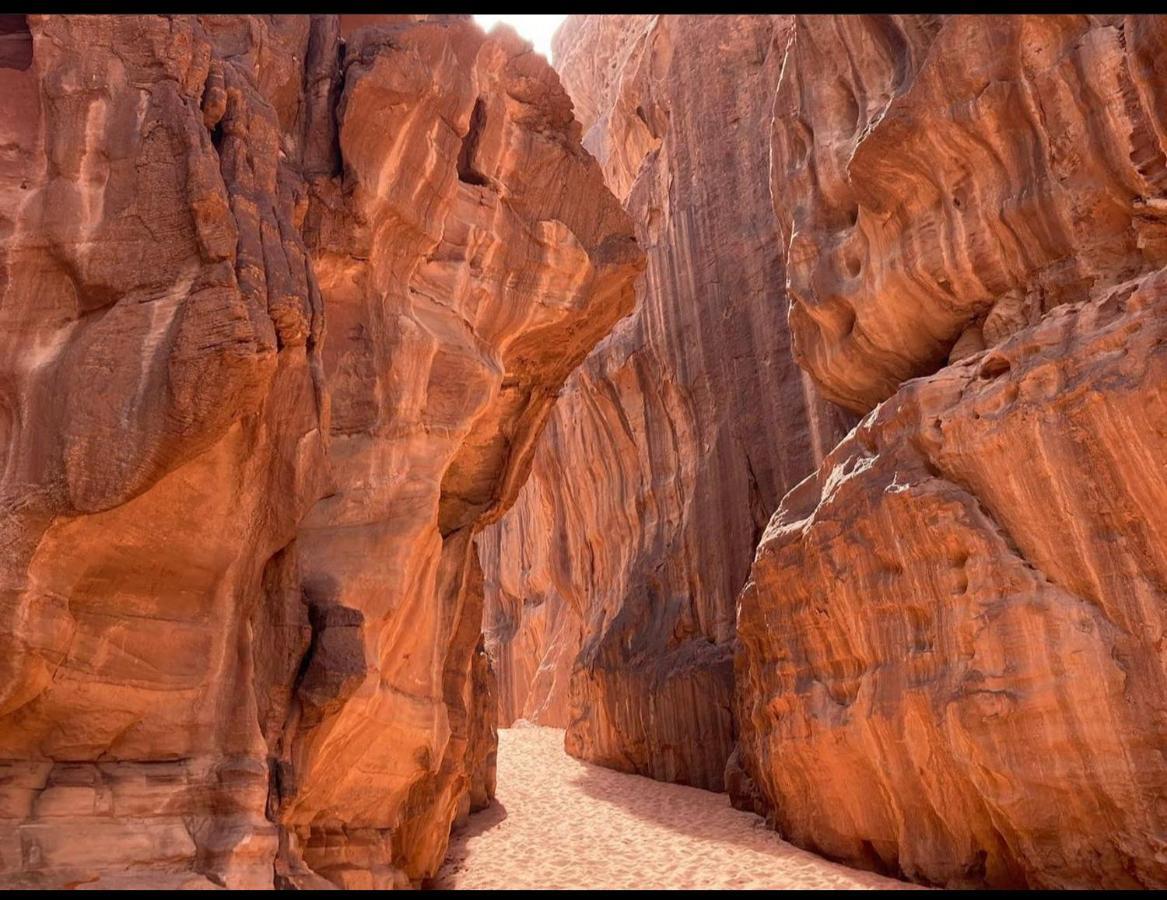 Wadi Rum Desert Camp Ngoại thất bức ảnh